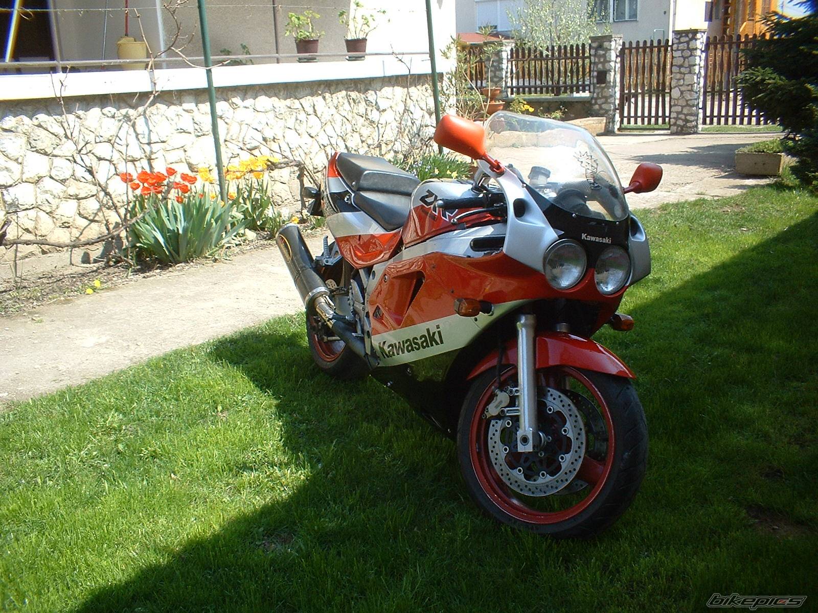 Photo 569982