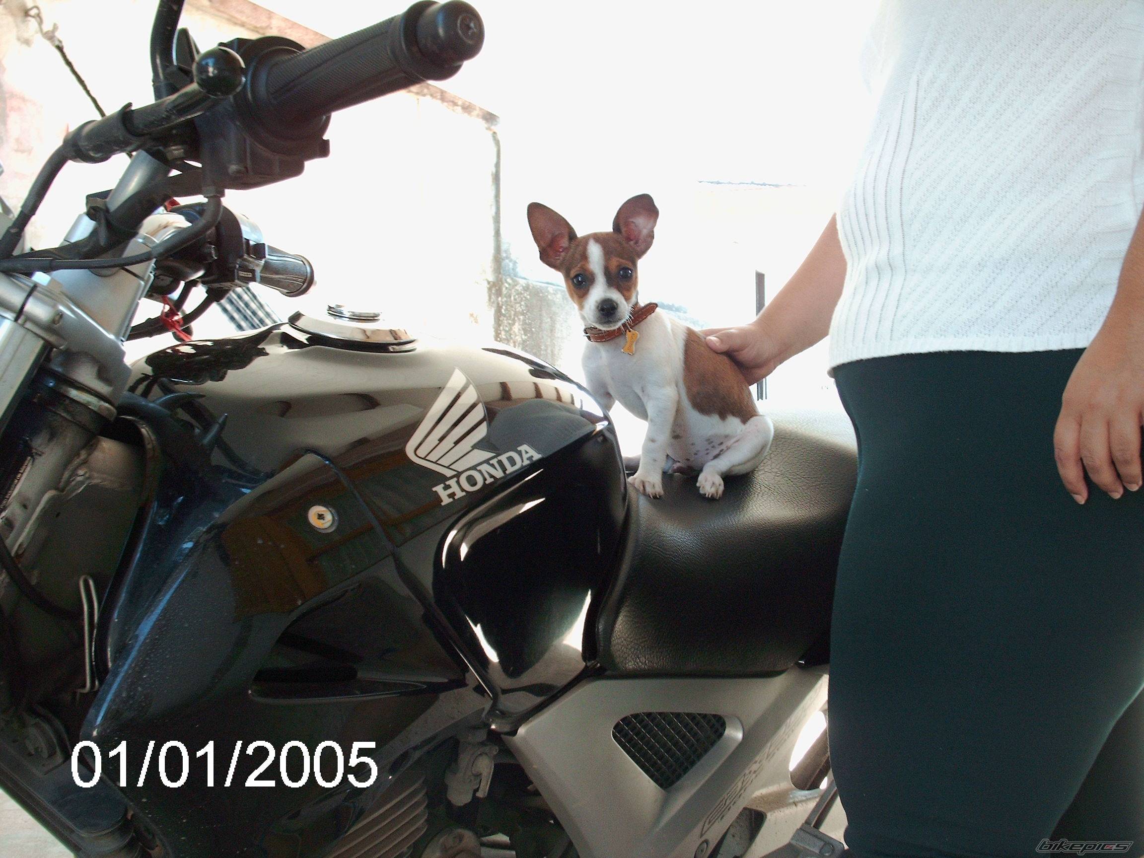 Bike Photo 570356