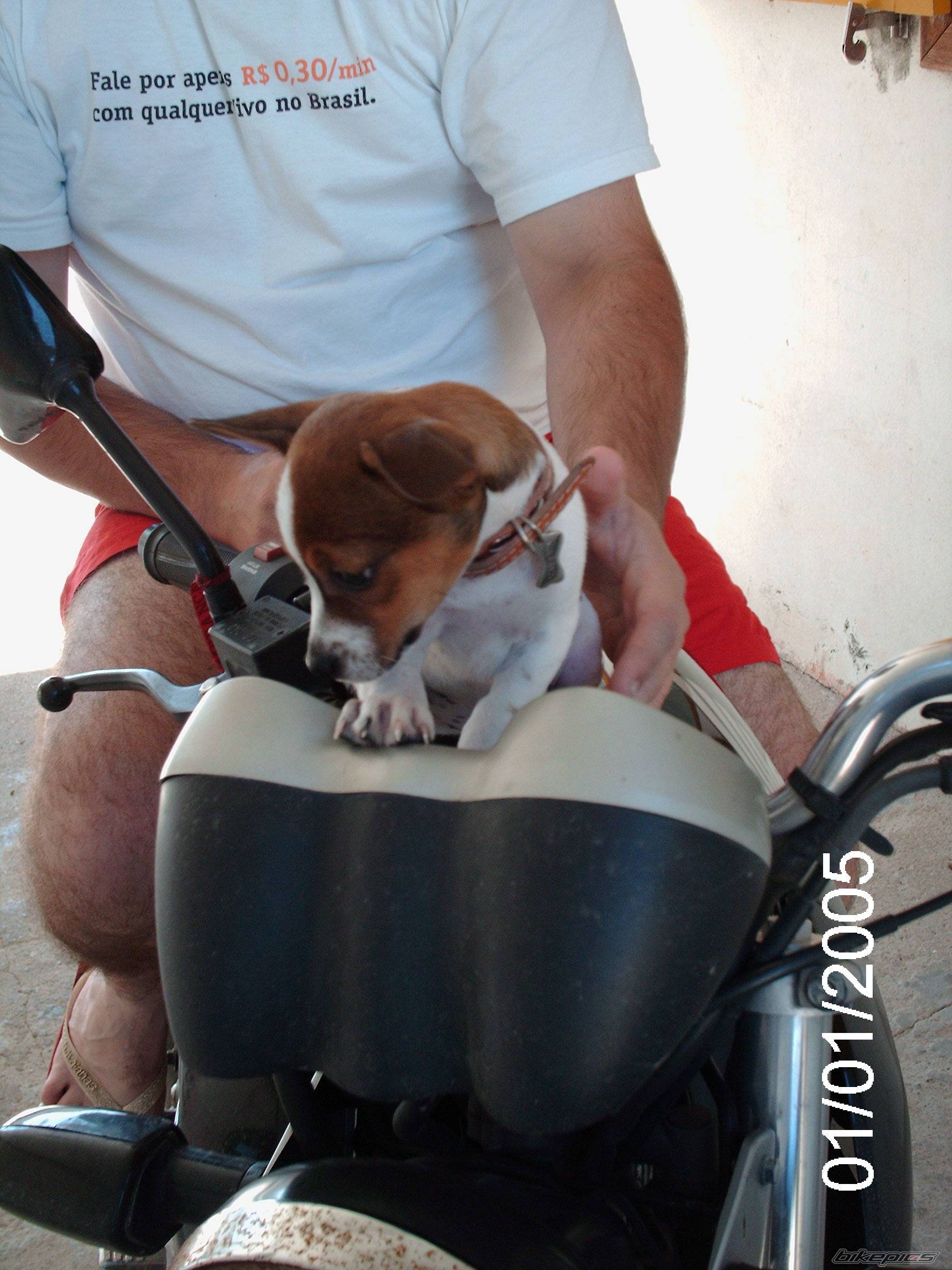 Bike Photo 570364