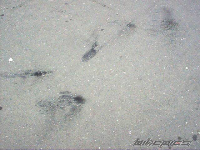 Photo 570785