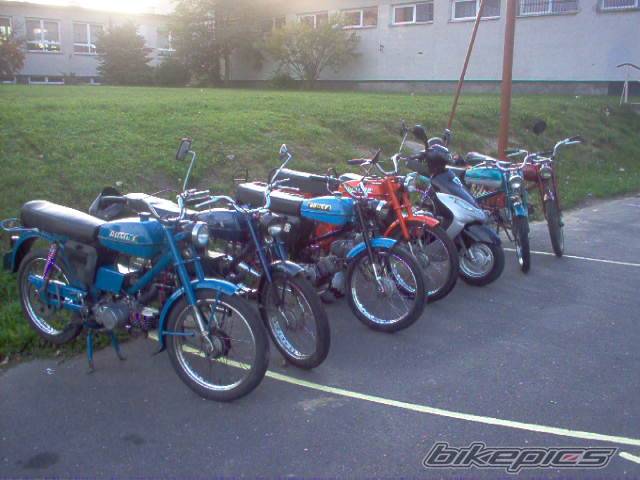 Photo 570795
