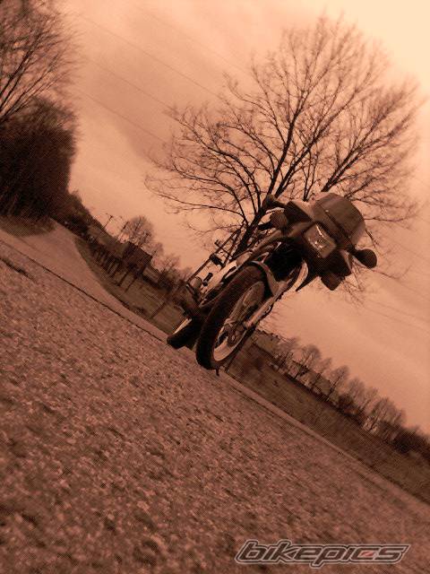 Photo 571354