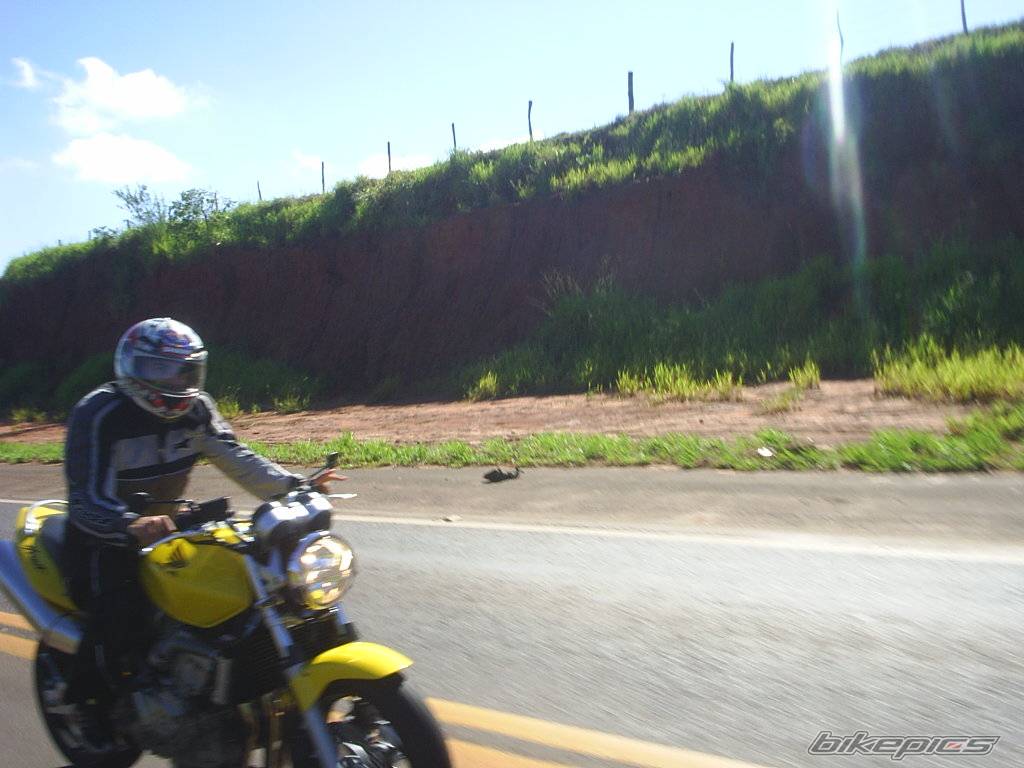 Photo 571495