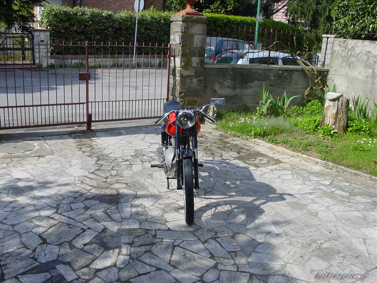 Photo 571799