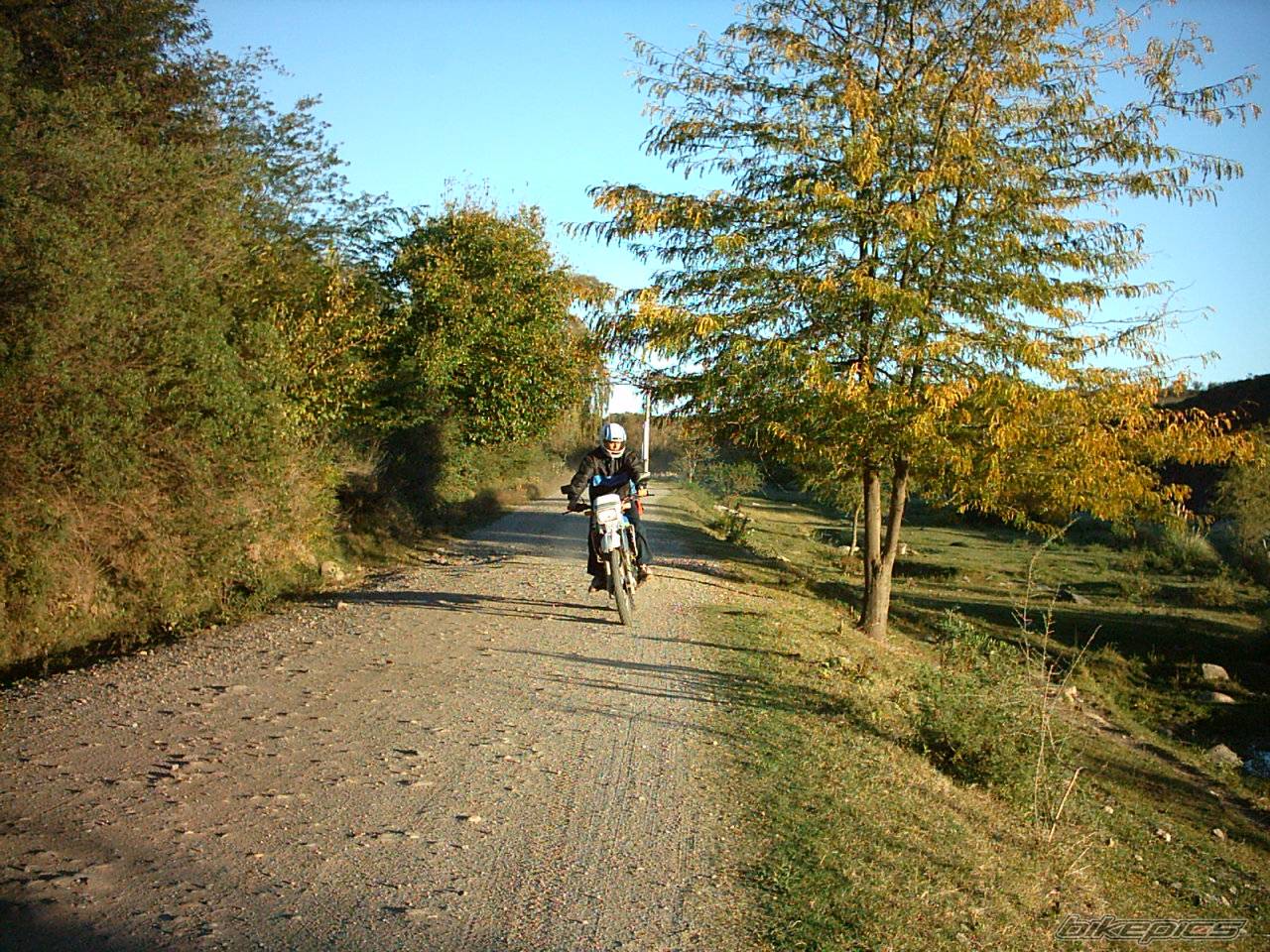 Photo 571832