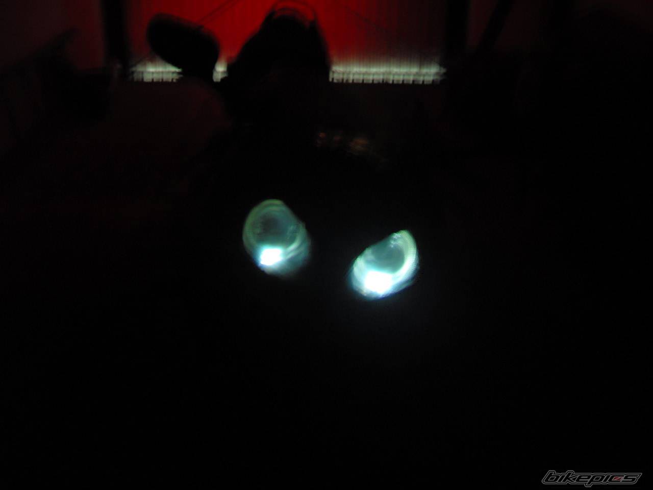 Photo 571891
