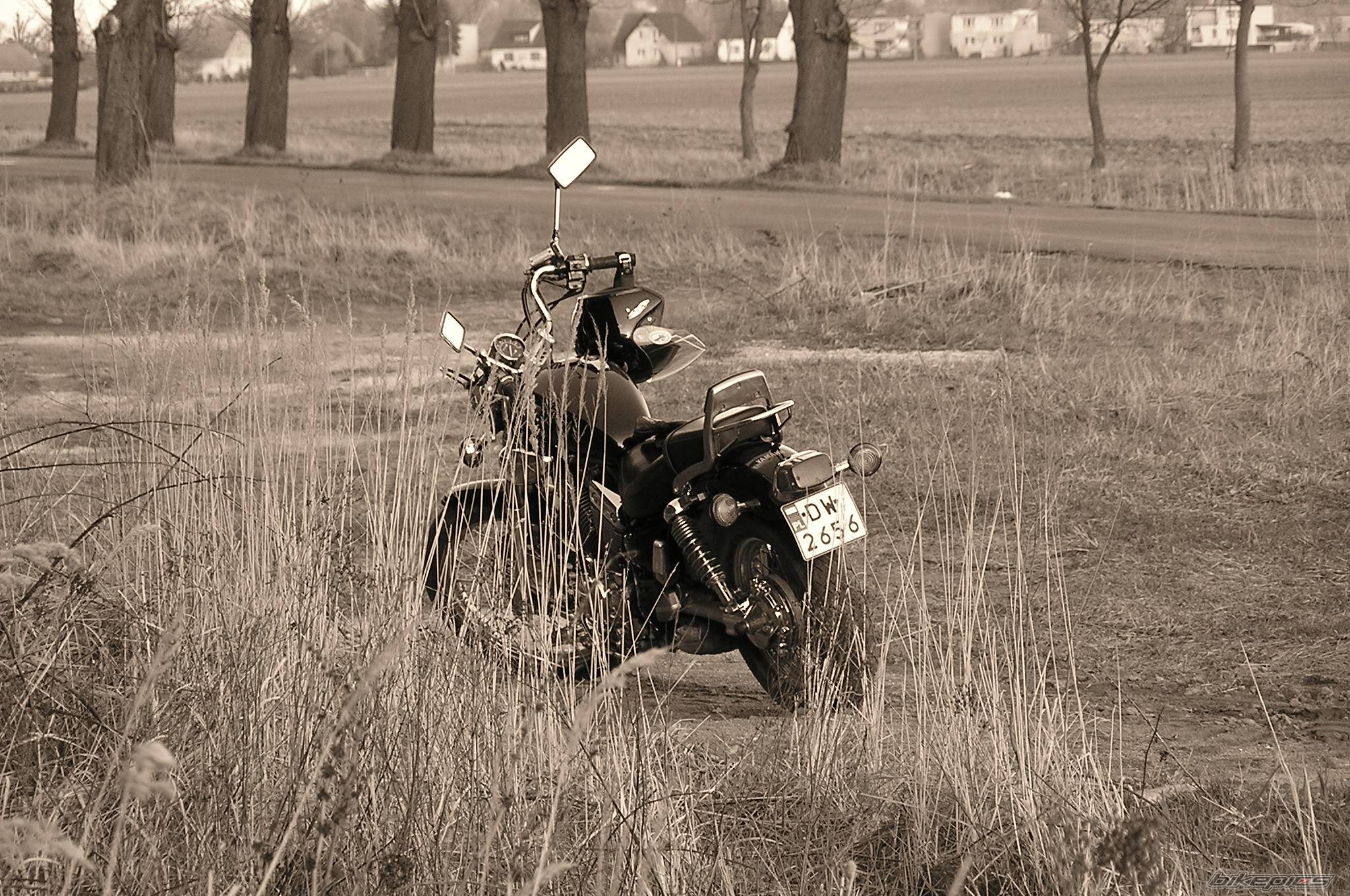Photo 571956