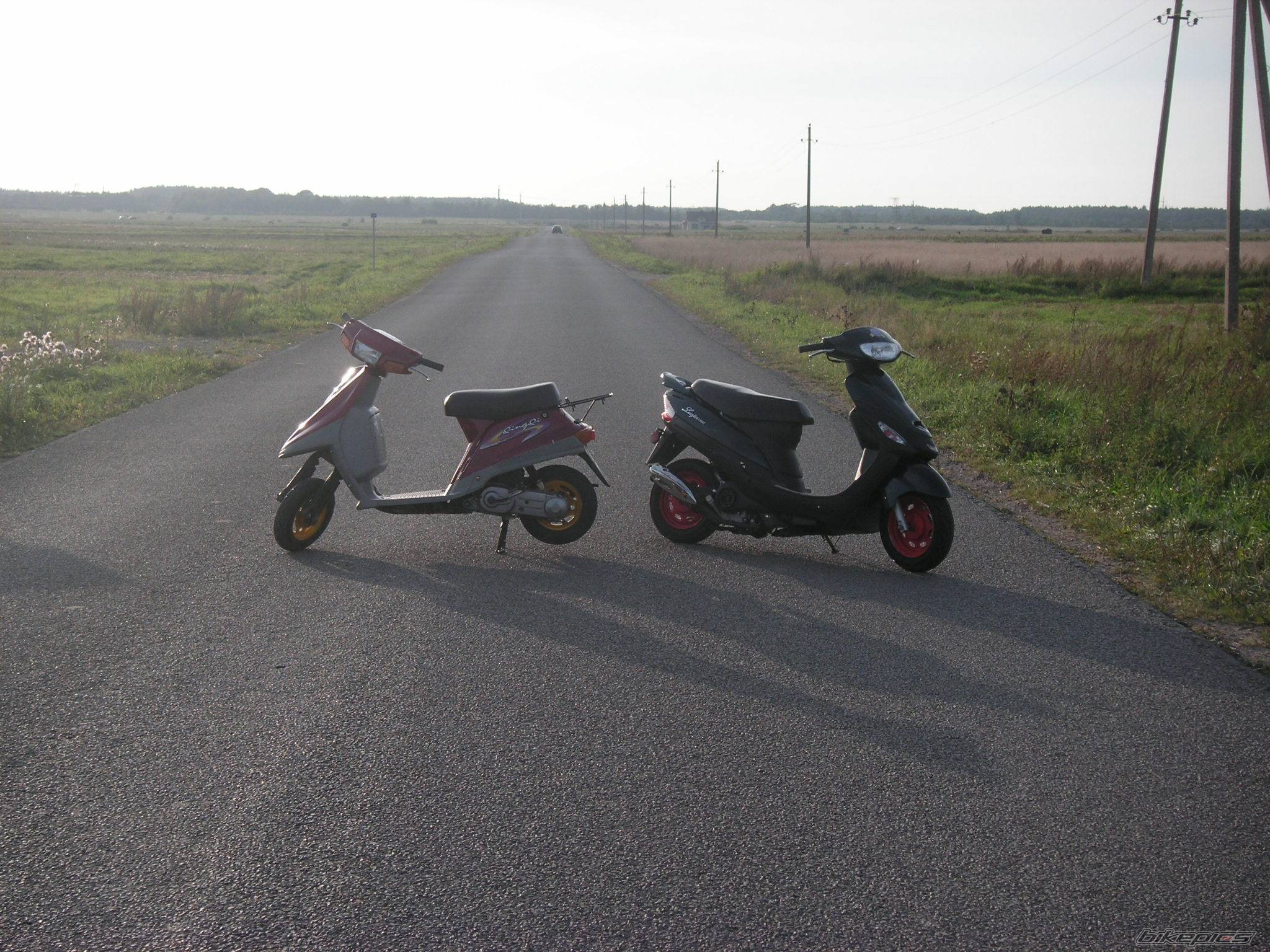 Photo 572038
