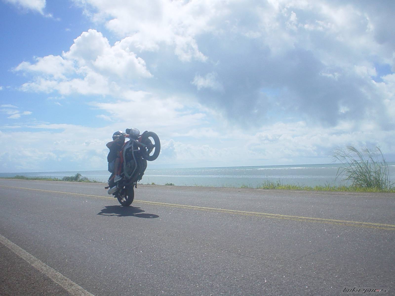 Bike Photo 572239