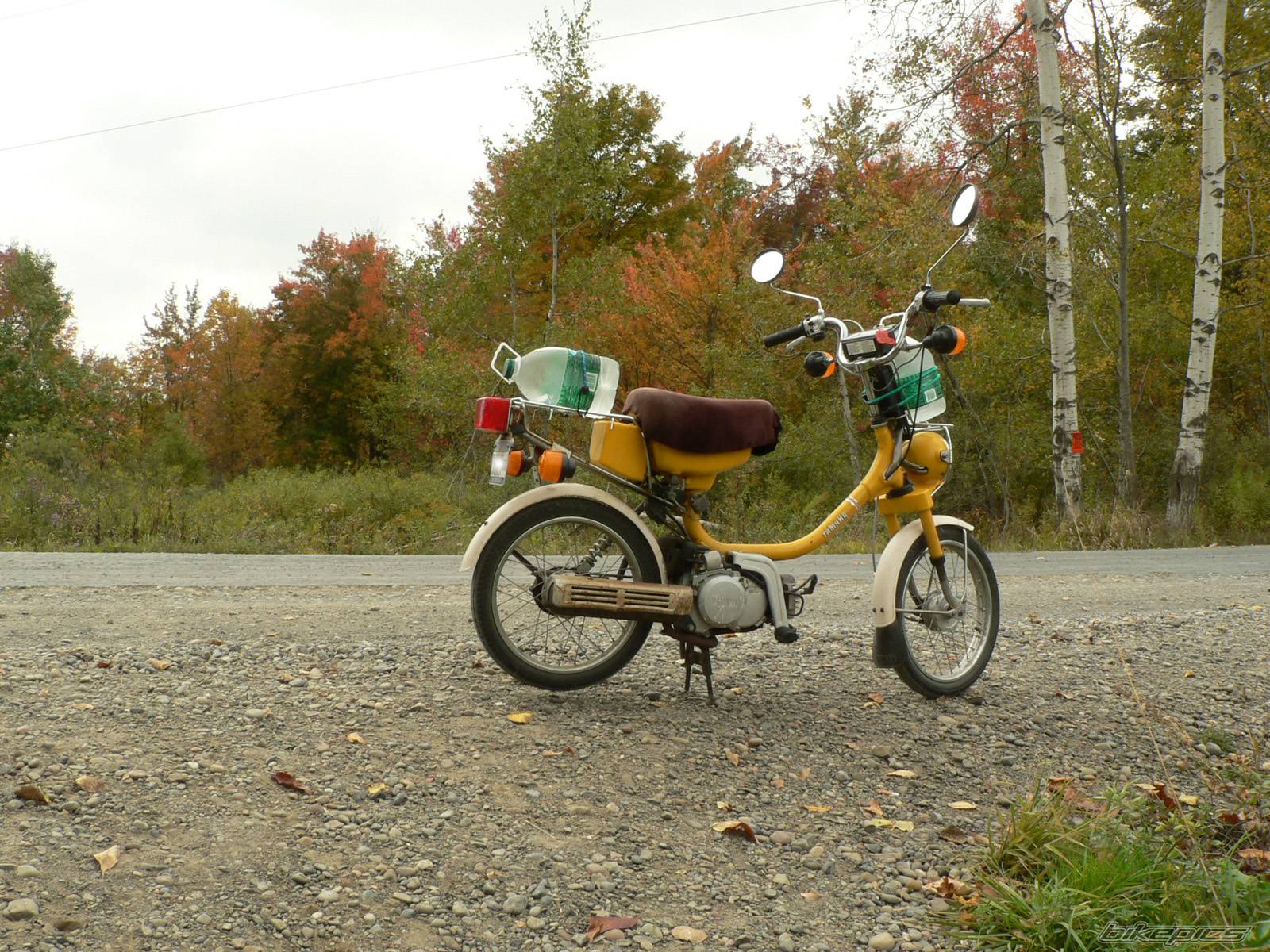 Photo 572363