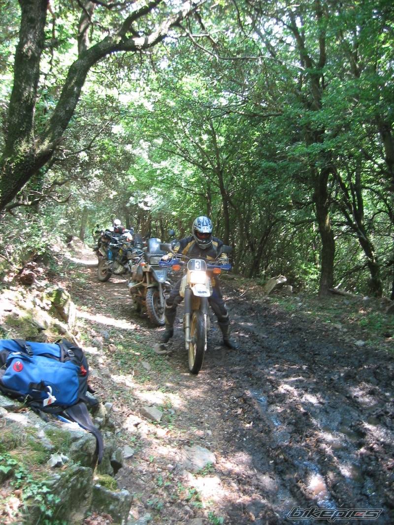 Bike Photo 572438