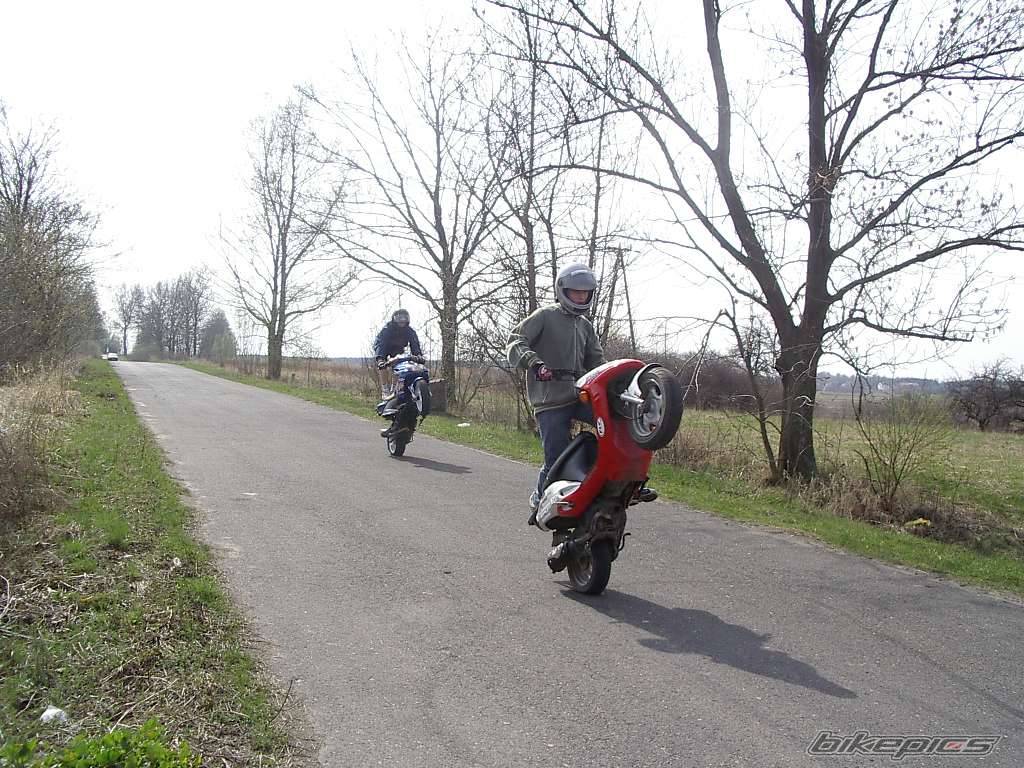 Photo 572544