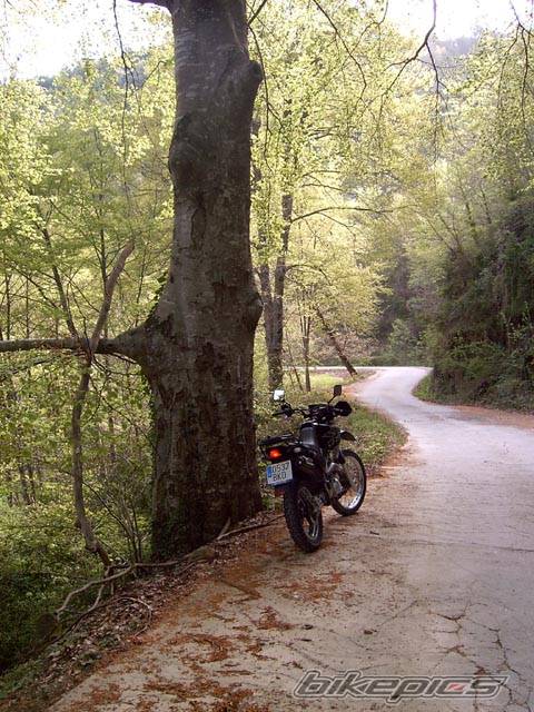 Bike Photo 572644