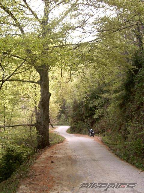 Bike Photo 572646