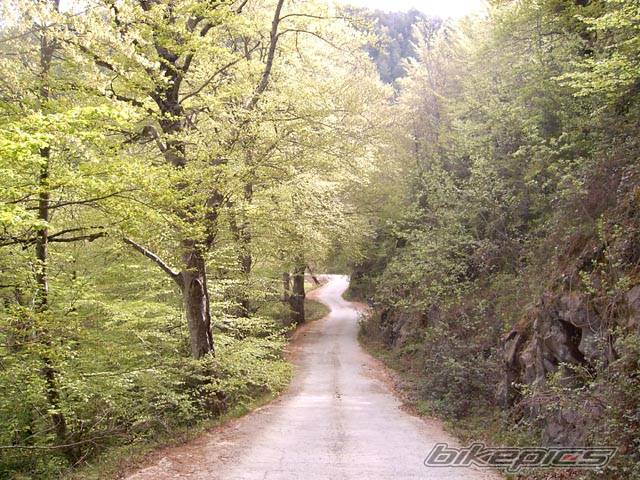 Bike Photo 572647