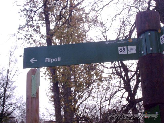 Photo 572648
