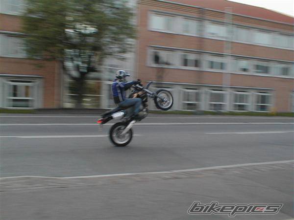 Photo 57265