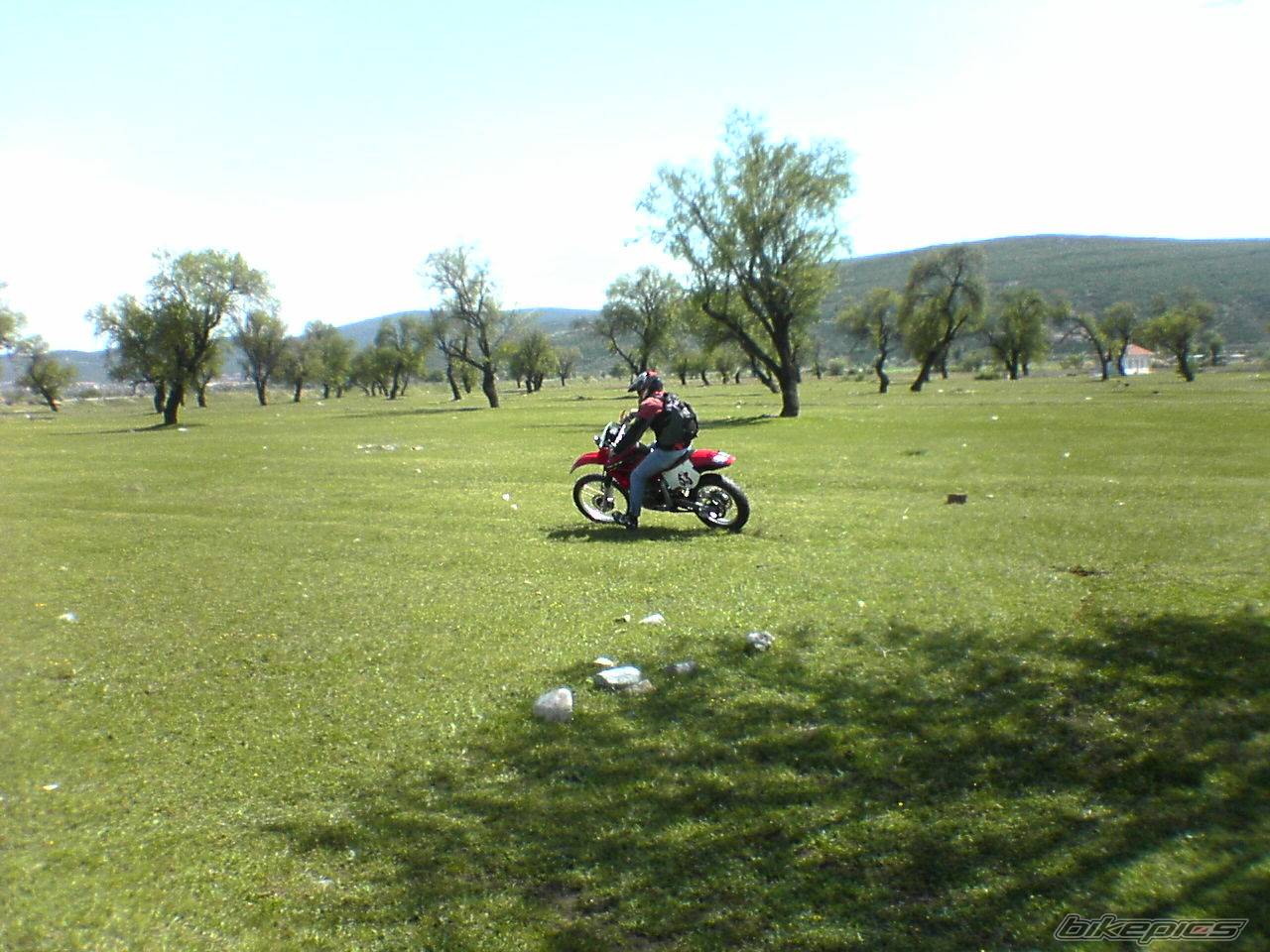 Photo 572796