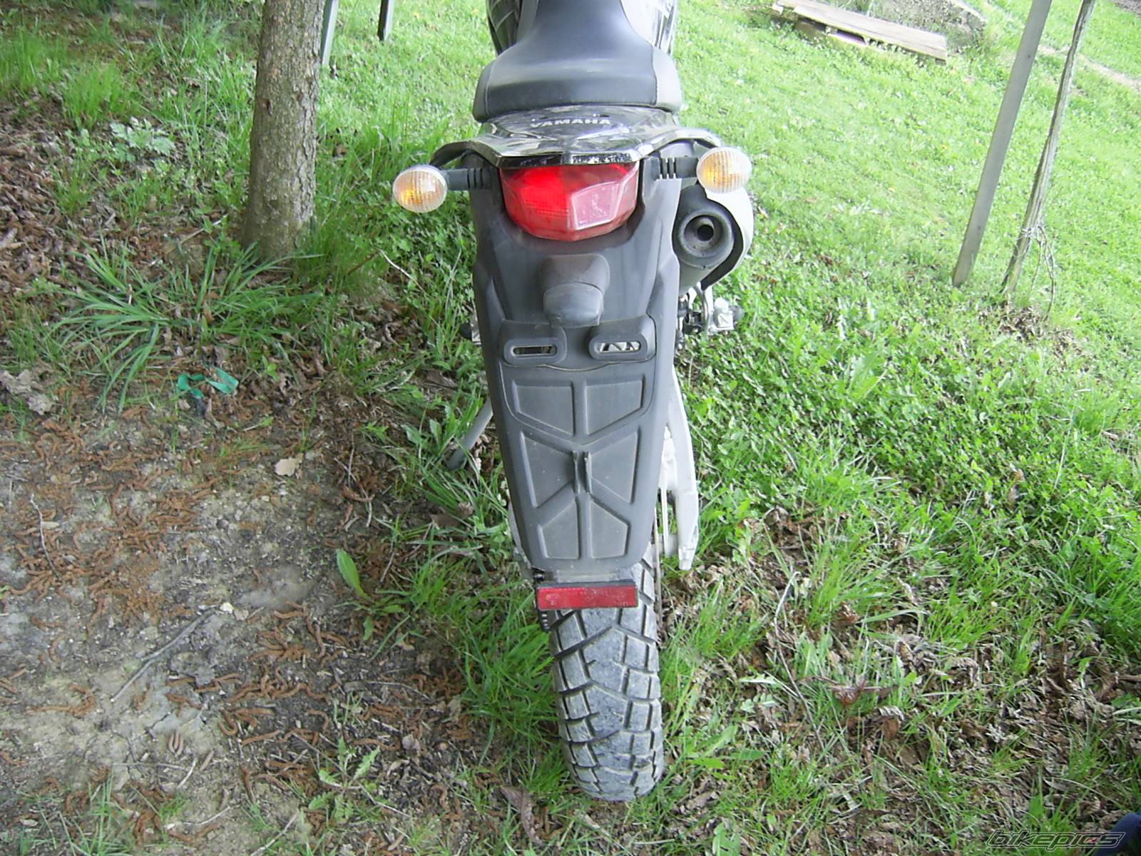 Photo 573244