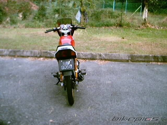 Photo 57373