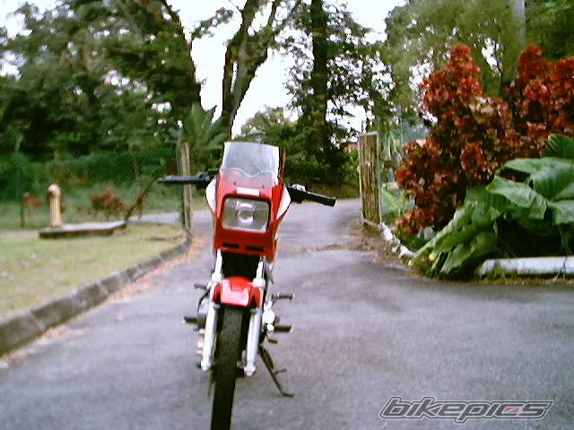 Photo 57376