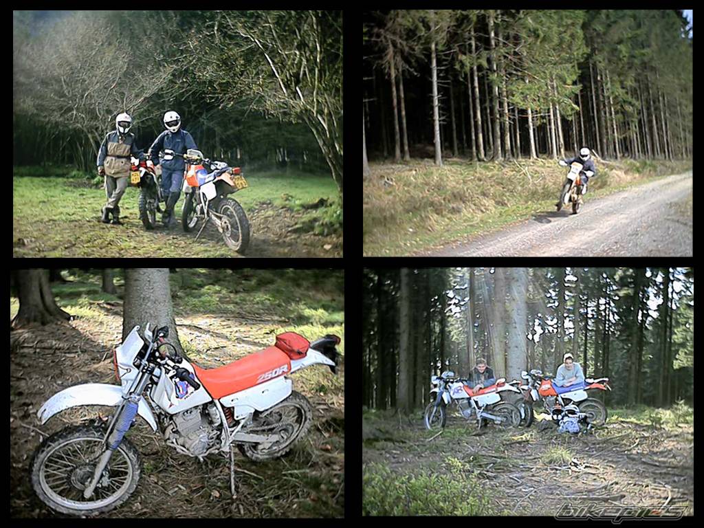 Bike Photo 57412