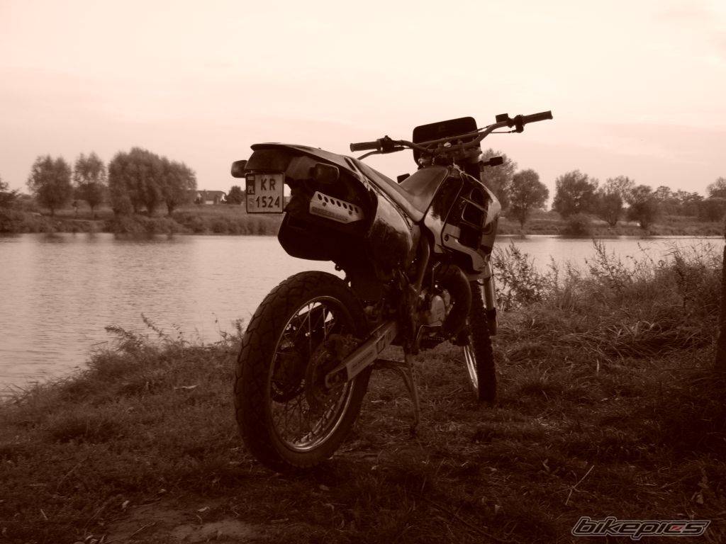 Photo 574313