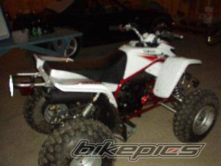 Photo 57492