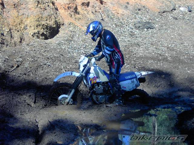 Bike Photo 574998