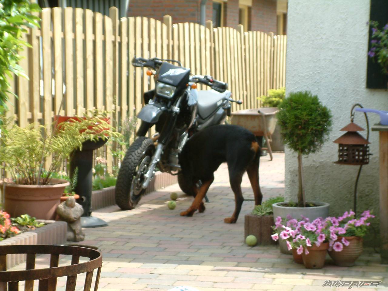 Bike Photo 57534