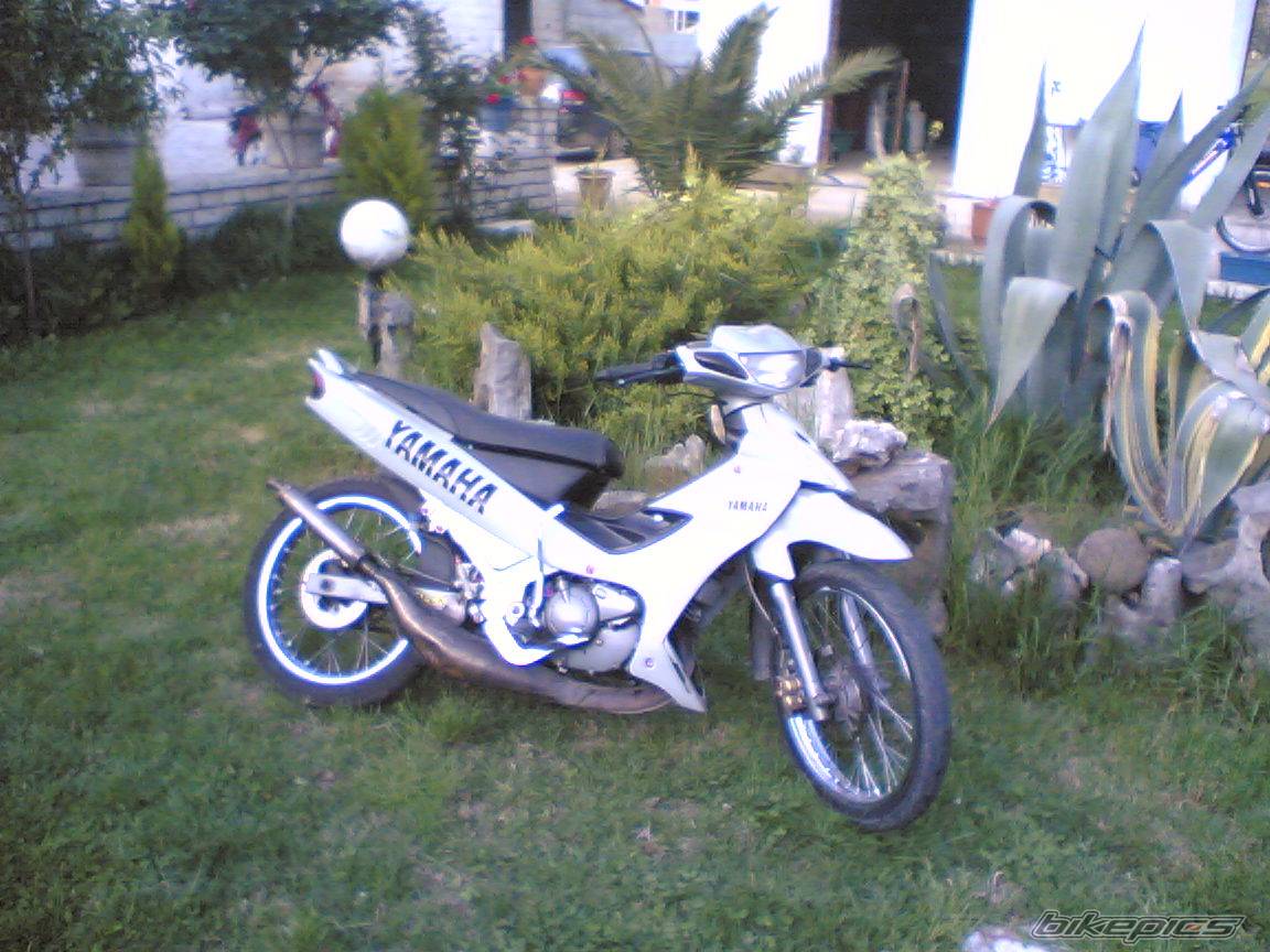 Photo 575355