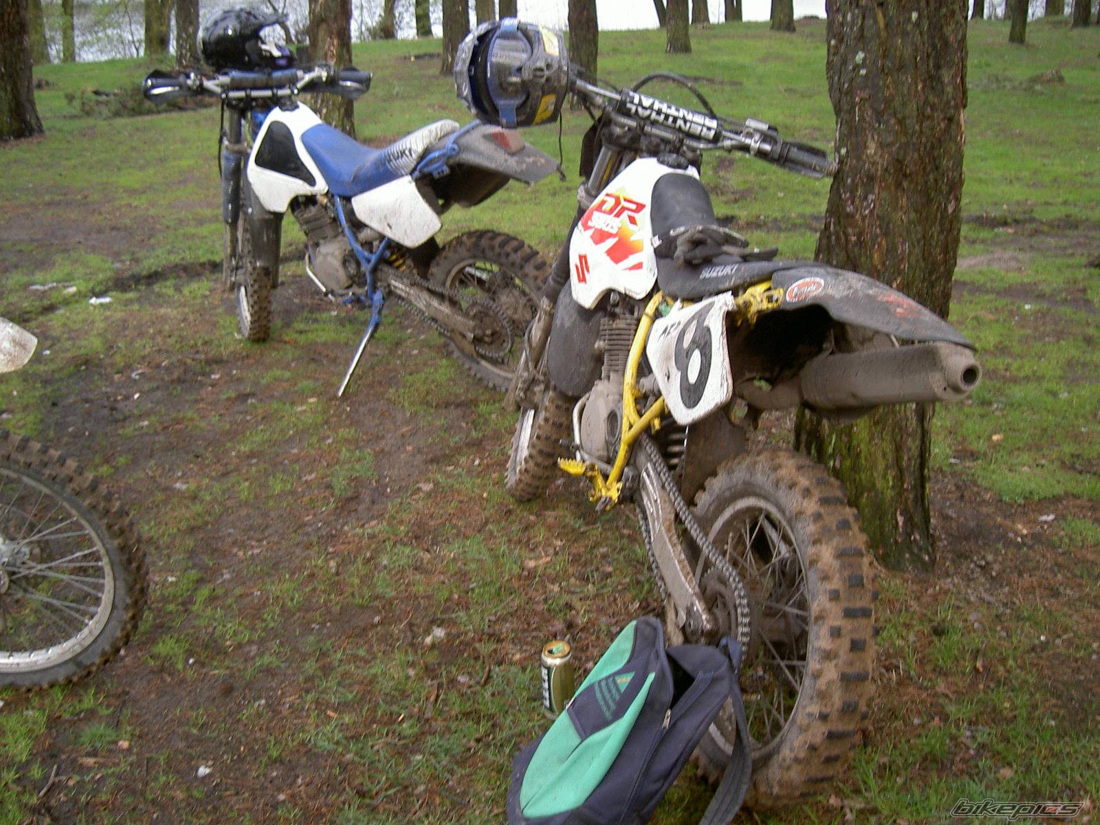 Photo 575382