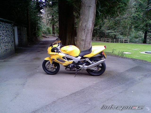 Photo 575454