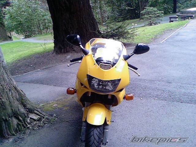 Photo 575457