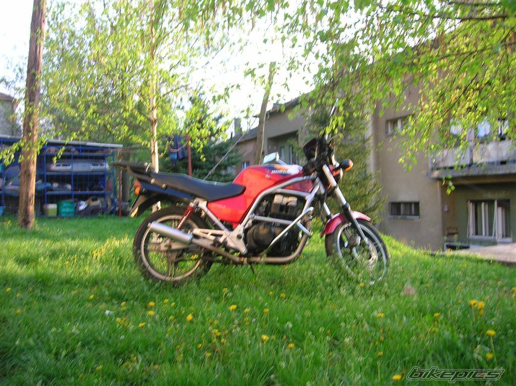 Photo 575745