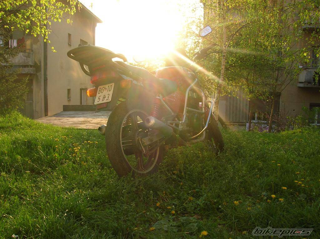 Photo 575746