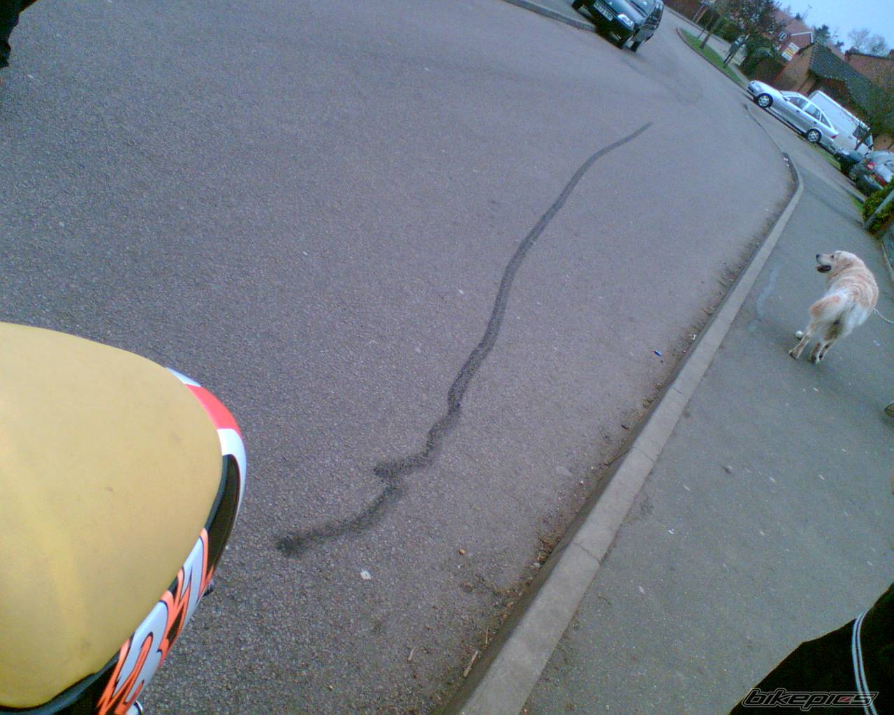 Bike Photo 577350