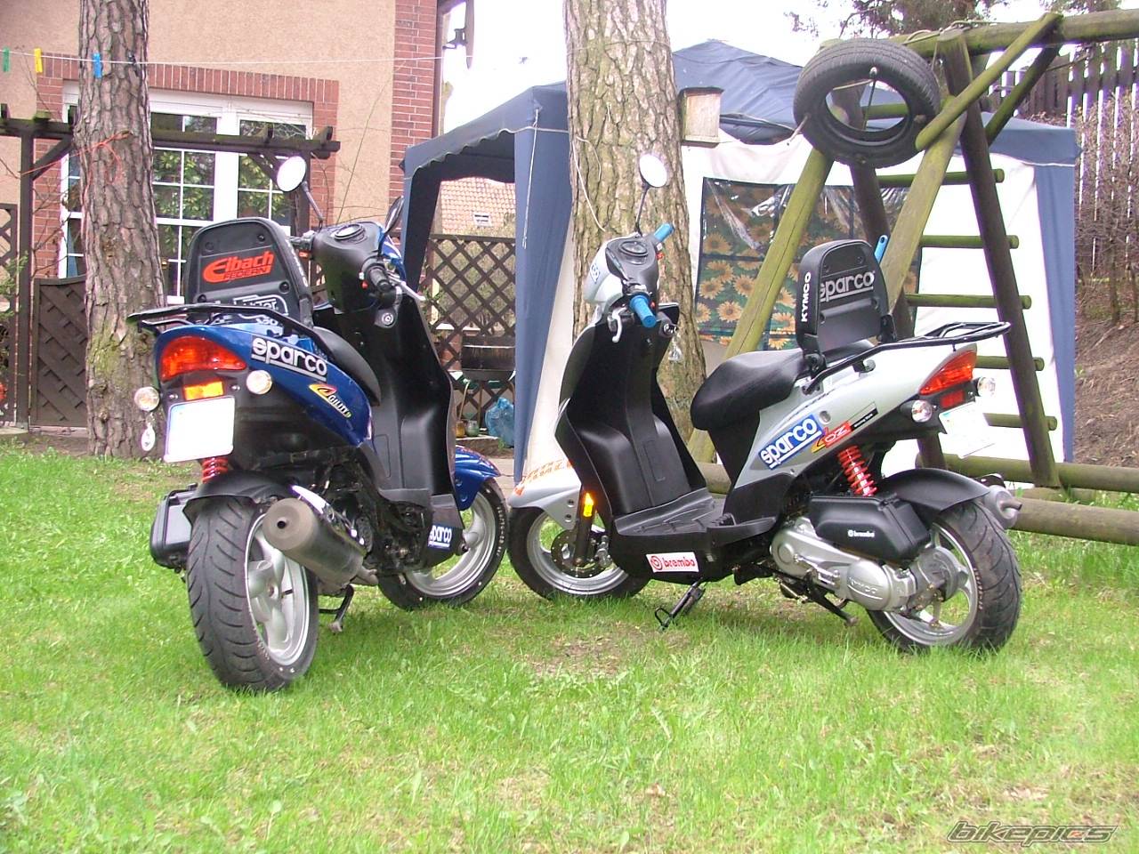 Photo 577657