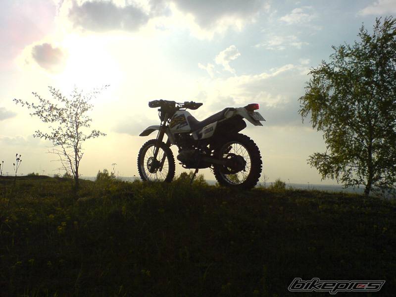 Bike Photo 578488