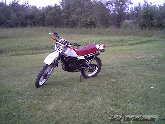 Bike Photo 57969