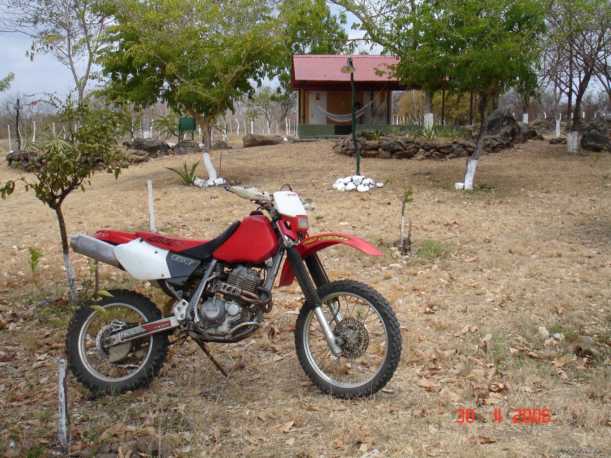 Bike Photo 579841