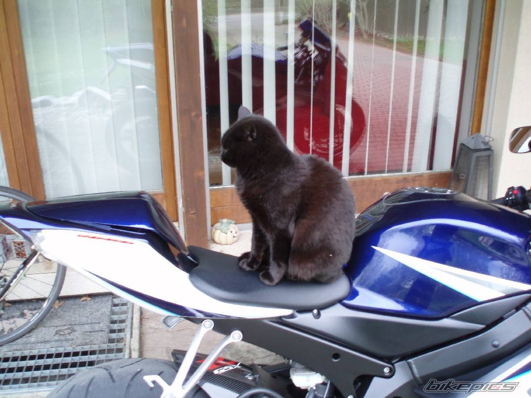 Bike Photo 580040