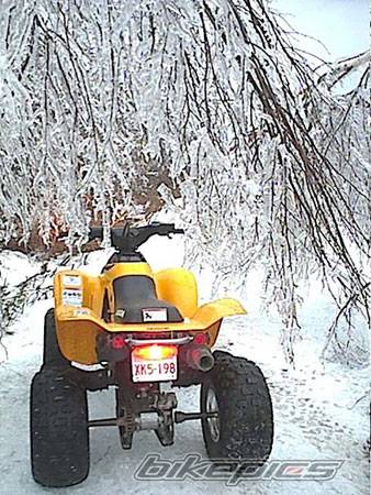 Photo 58012