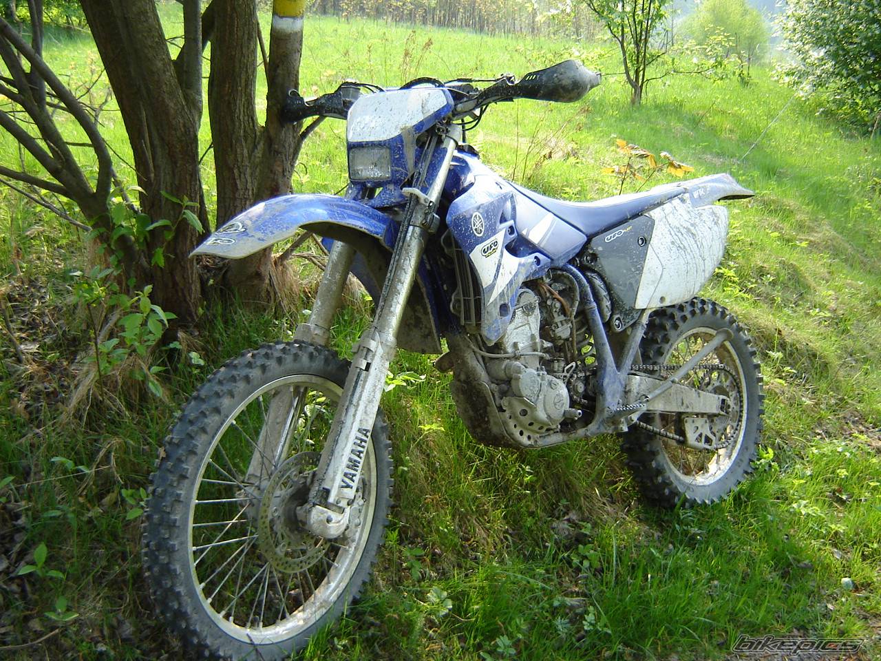 Bike Photo 580424