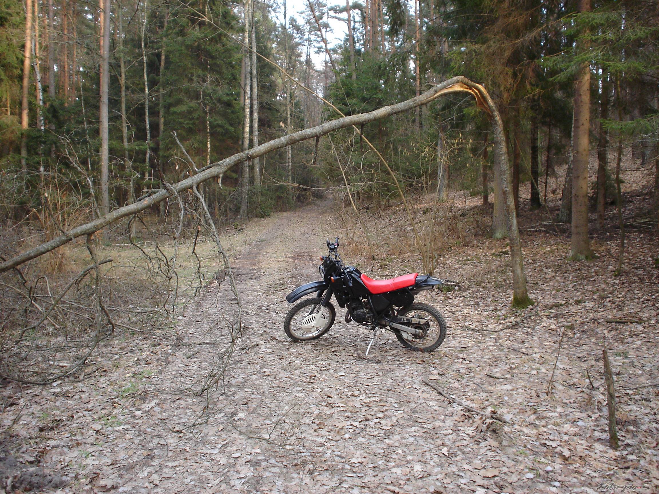 Bike Photo 580723
