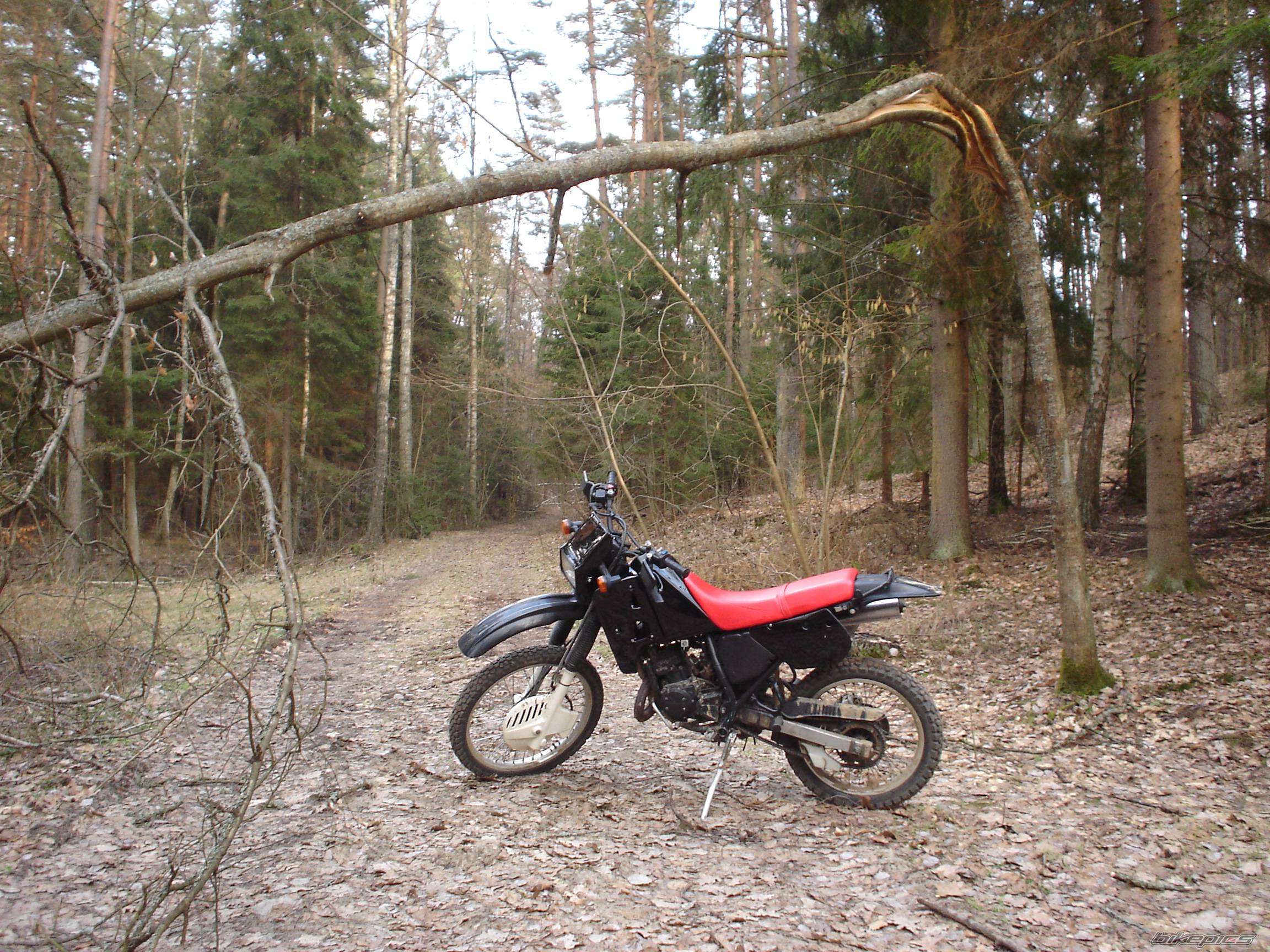 Bike Photo 580725