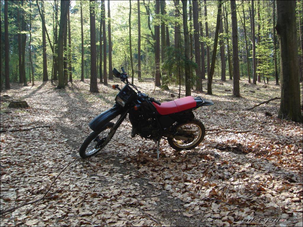 Bike Photo 580731