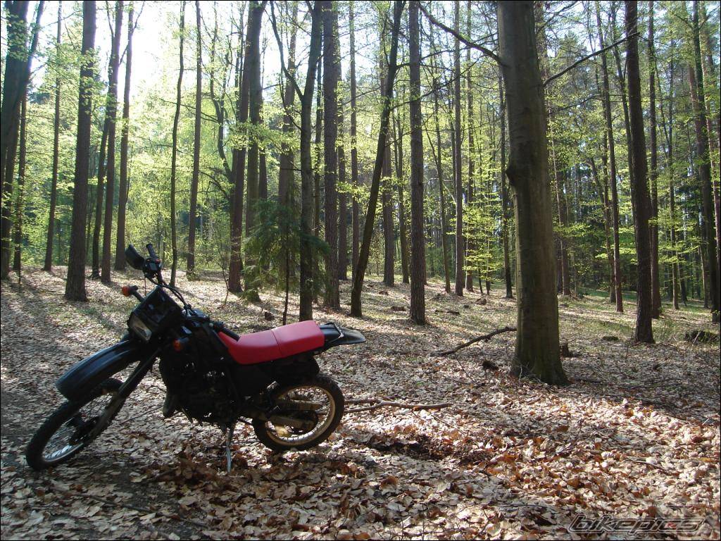 Bike Photo 580732
