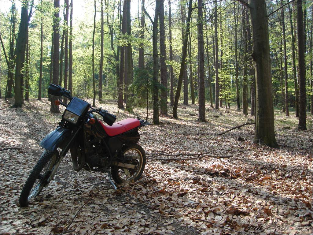 Bike Photo 580733
