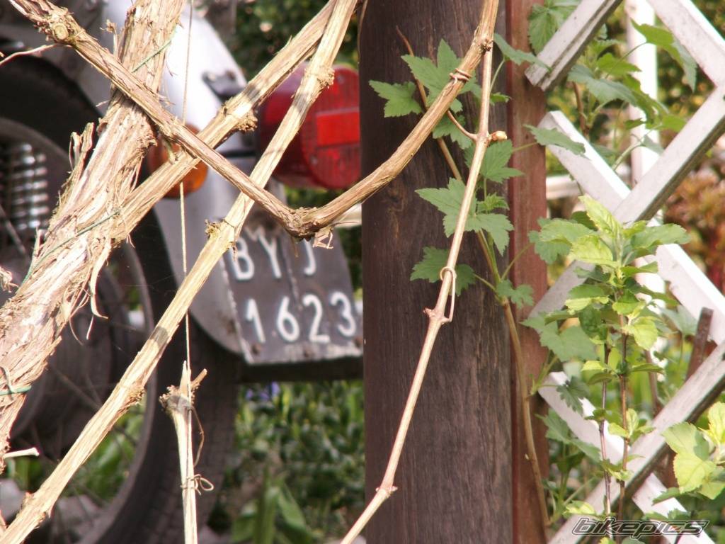 Photo 582012